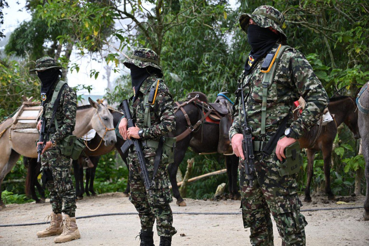 Reaparece la figura de una AUTODEFENSA, en una Colombia que busca la PAZ