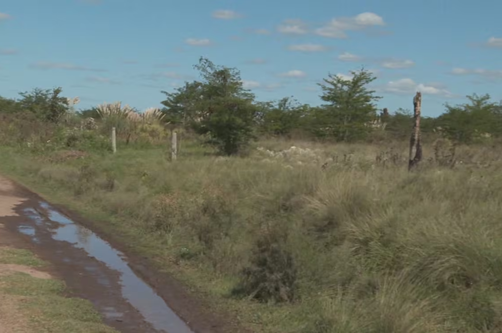 ''Sustracción de menores en grado de tentativa".