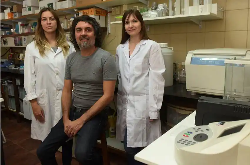 Investigadores del Conicet de Rosario logran avances contra uno de los cánceres de hígados más letales