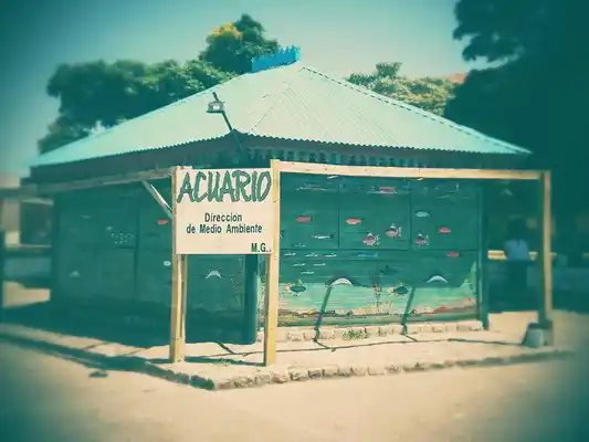 El acuario municipal está abierto al público durante todo febrero