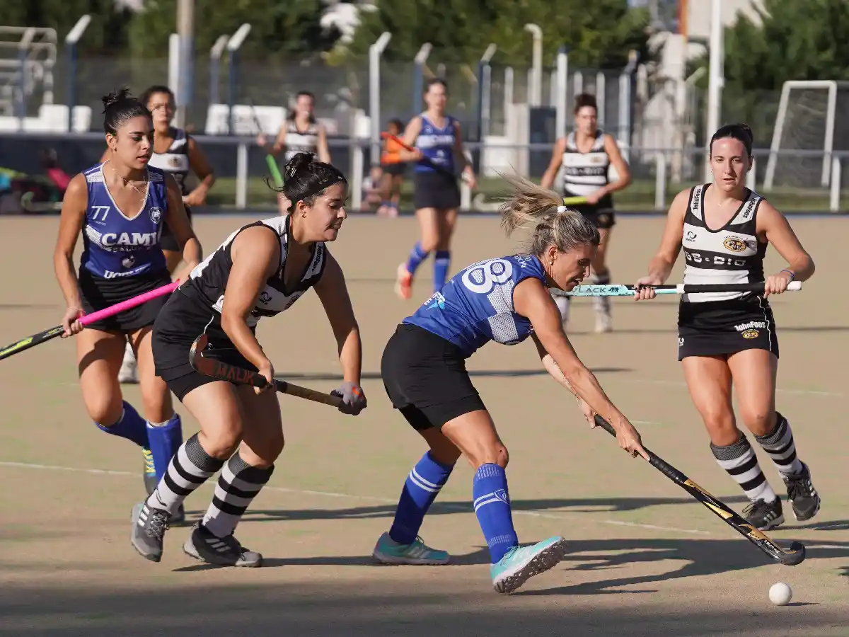 Antártida se presenta en Córdoba