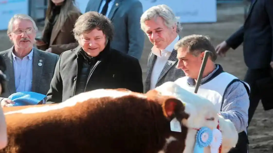 En su discurso en la inauguración de La Rural, Javier Milei anunciará beneficios impositivos para el campo