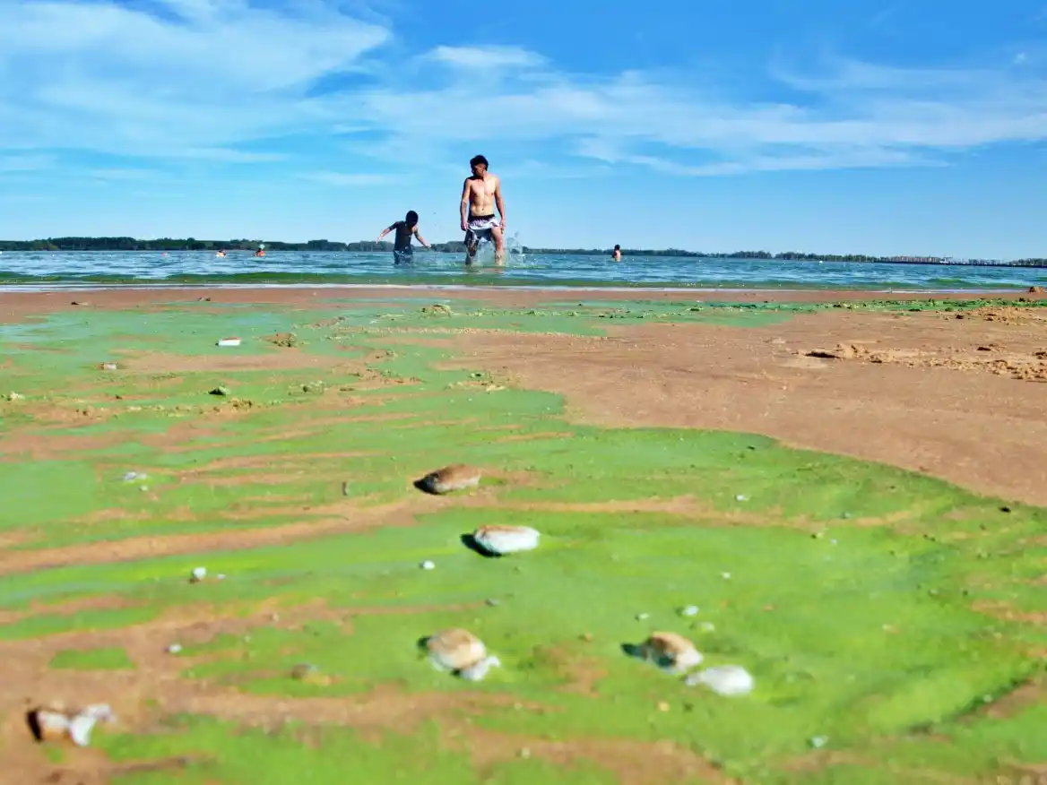 Cresto llevó a Diputados la preocupación por el verdín en el río Uruguay