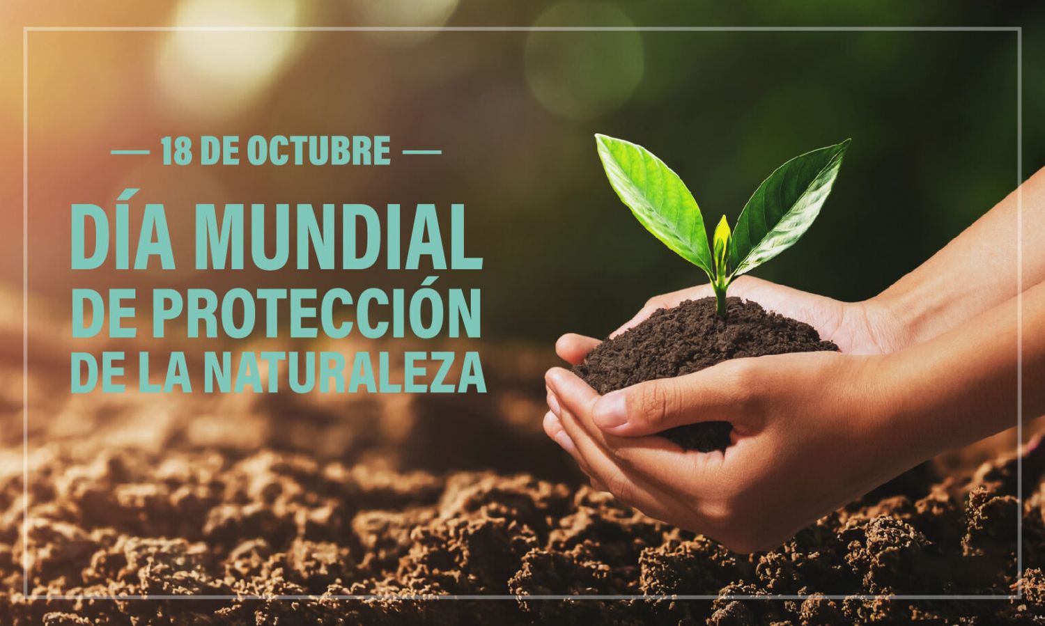 Visitas a la planta de separación para la comunidad