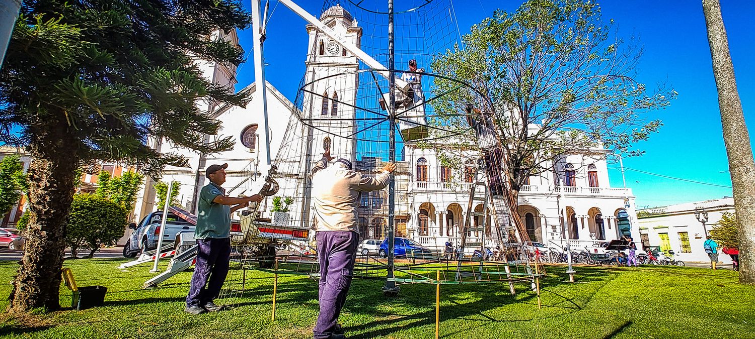 ¡Comienza la magia navideña con el armado del árbol en Plaza San Martín!