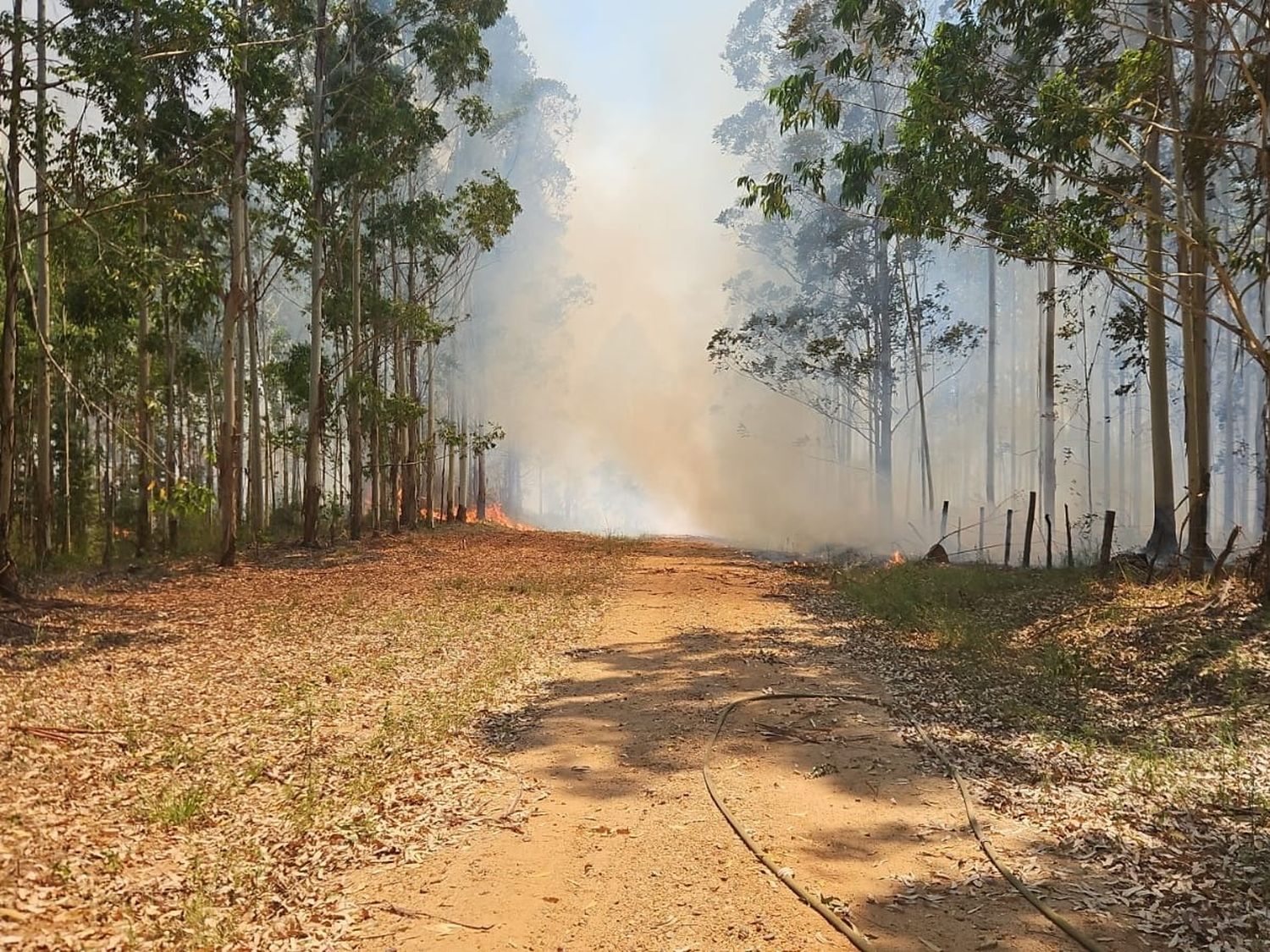 Incendio fuera de control en la zona rural de Calabacilla