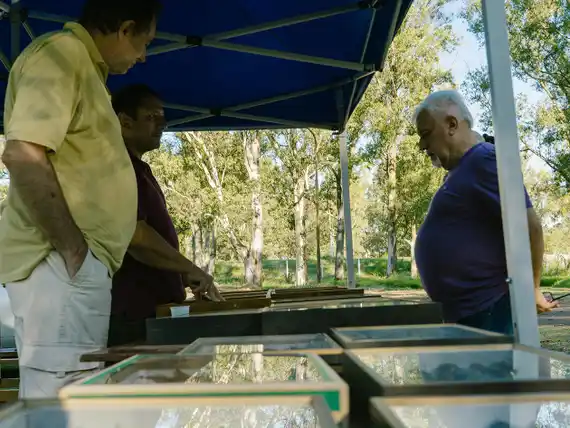 Minuanes: Exitosa exposición de fósiles y entomología