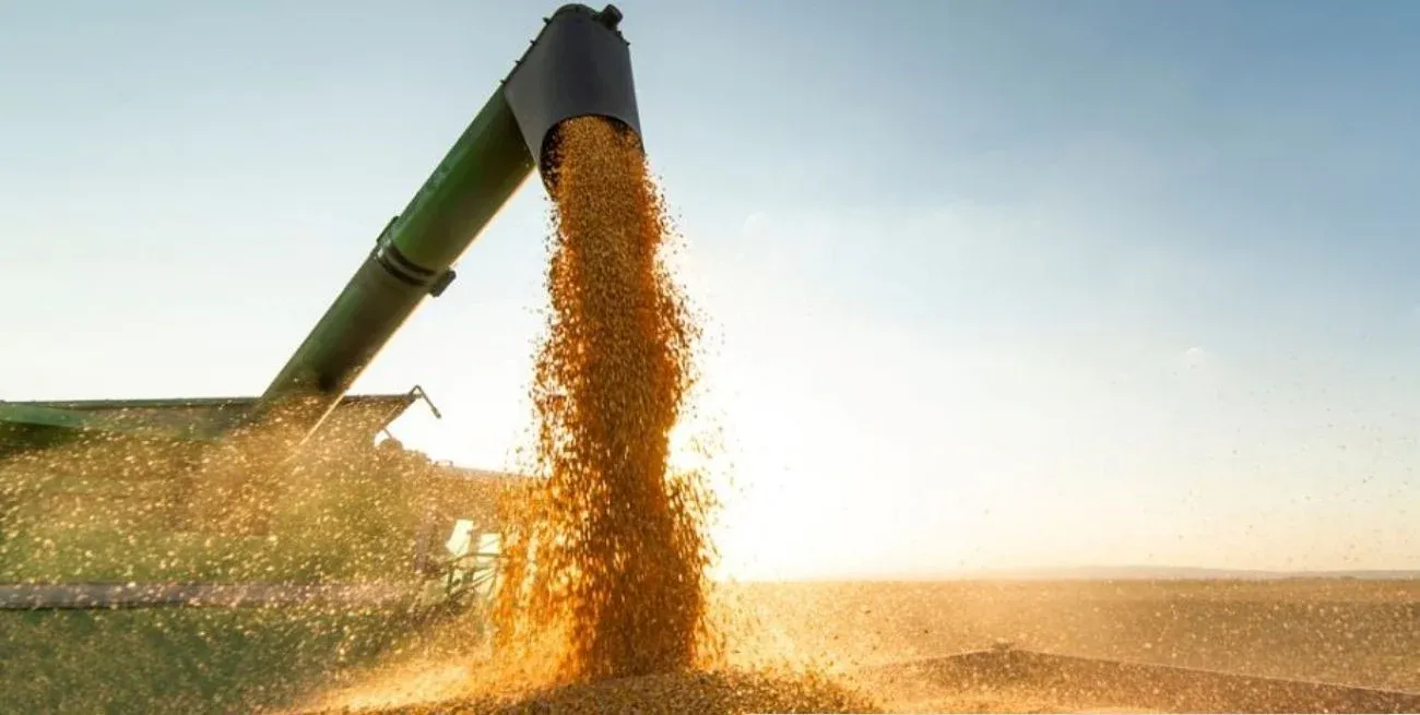 En el centro provincial en lotes puntuales de maíz, se contabilizaron 120 qq/ha. de rendimiento.