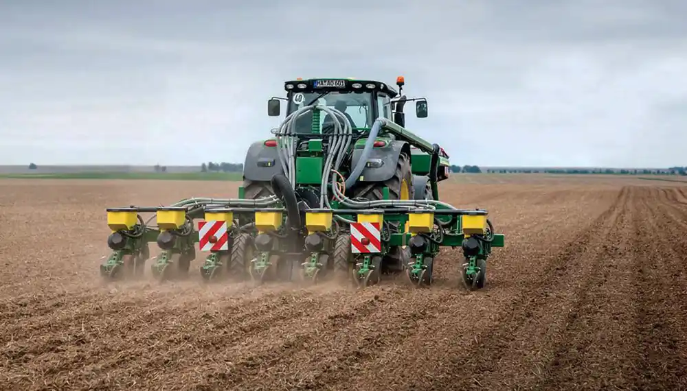 Se afianza. La siembra de la gruesa en el distrito
