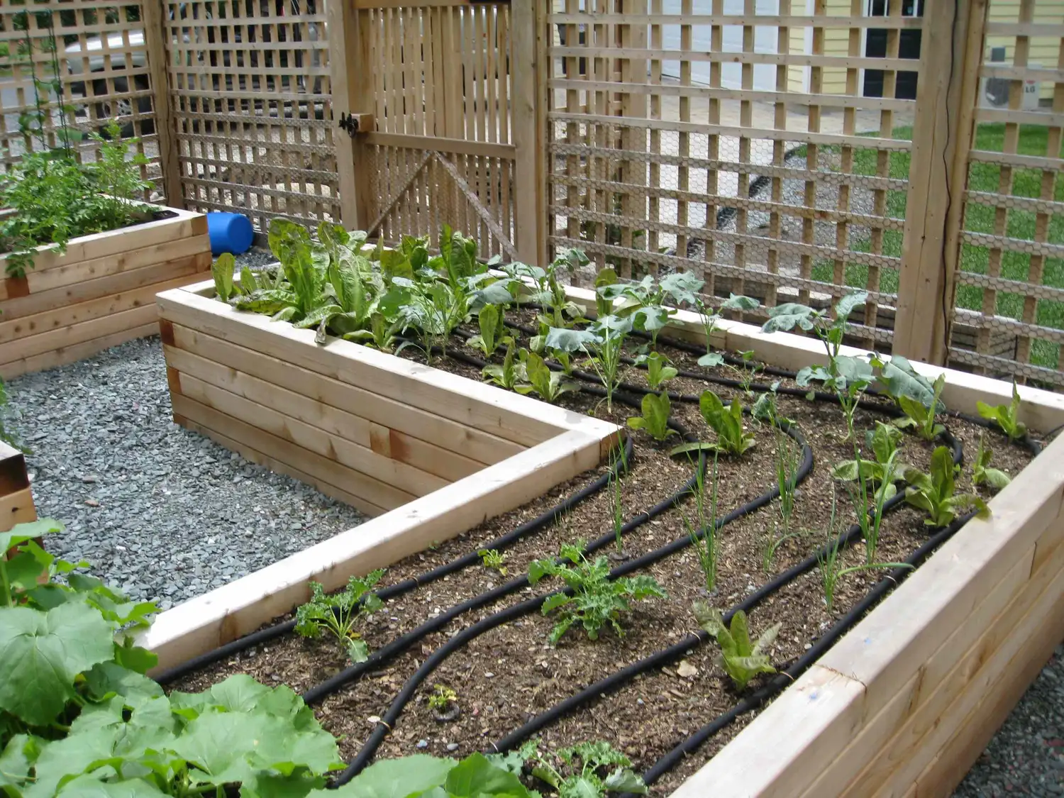 huerta en casa