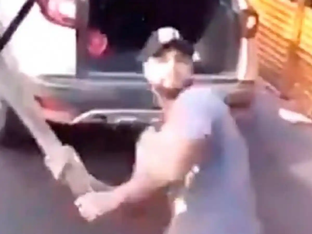 Tránsito: atacó un colectivo a los palazos en Buenos Aires