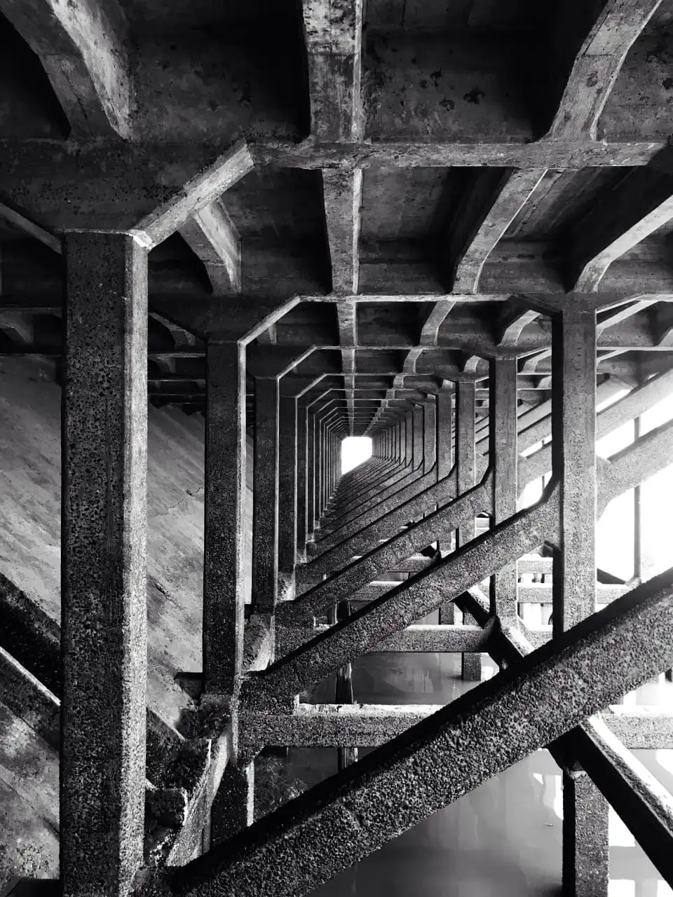 Ganadores del “IV Concurso Fotográfico Héctor E. D. Galante 2023”