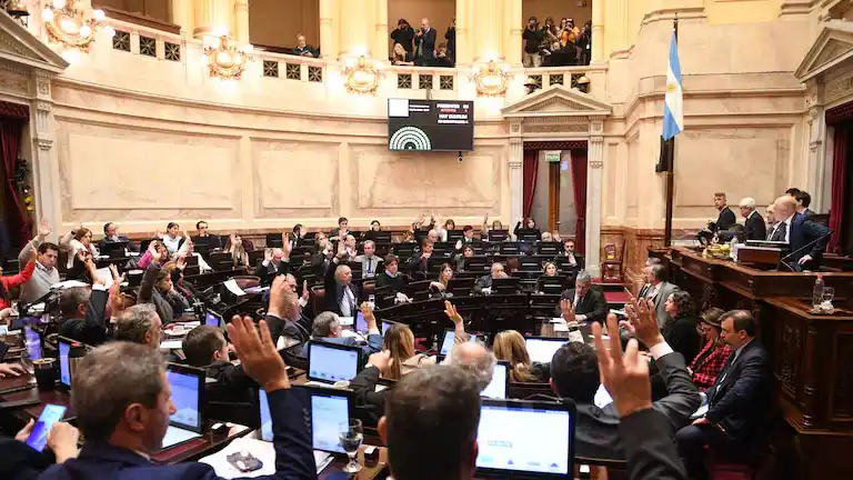 Tras la ratificación en la Cámara Alta, qué cambia en pensiones y pagos a prestadores