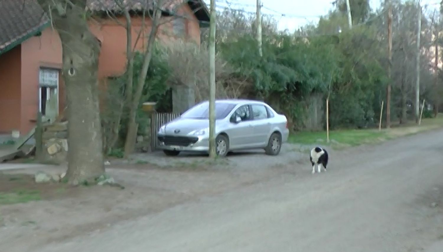 Aumentó la cantidad de  perros envenenados en  la zona del Barrio Golf