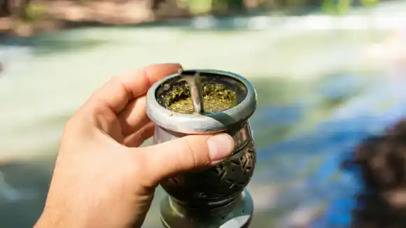 Argentina lanza su primera escuela dedicada exclusivamente a la yerba mate