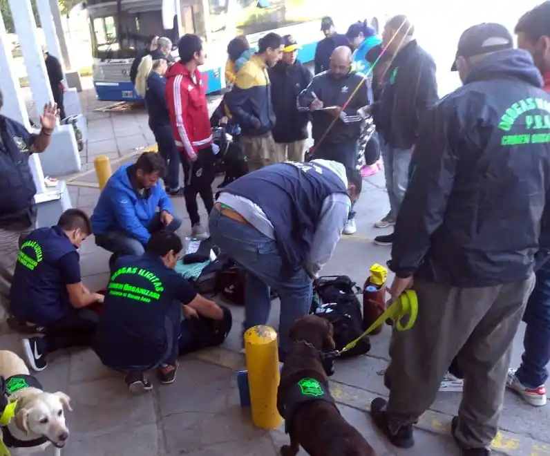 En la Terminal secuestran drogas en poder de turistas