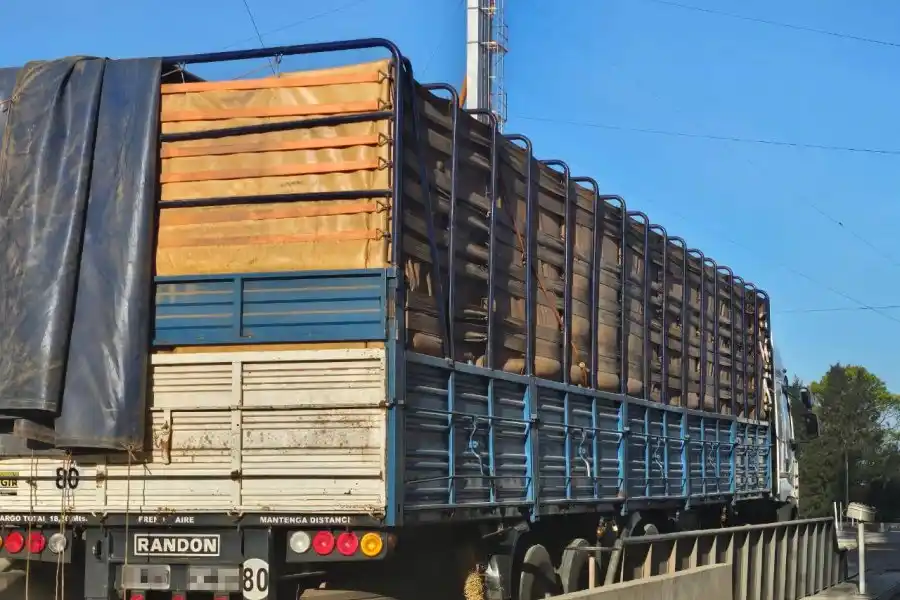 Llevaban más de 117 toneladas de soja sin declarar y en dos camiones