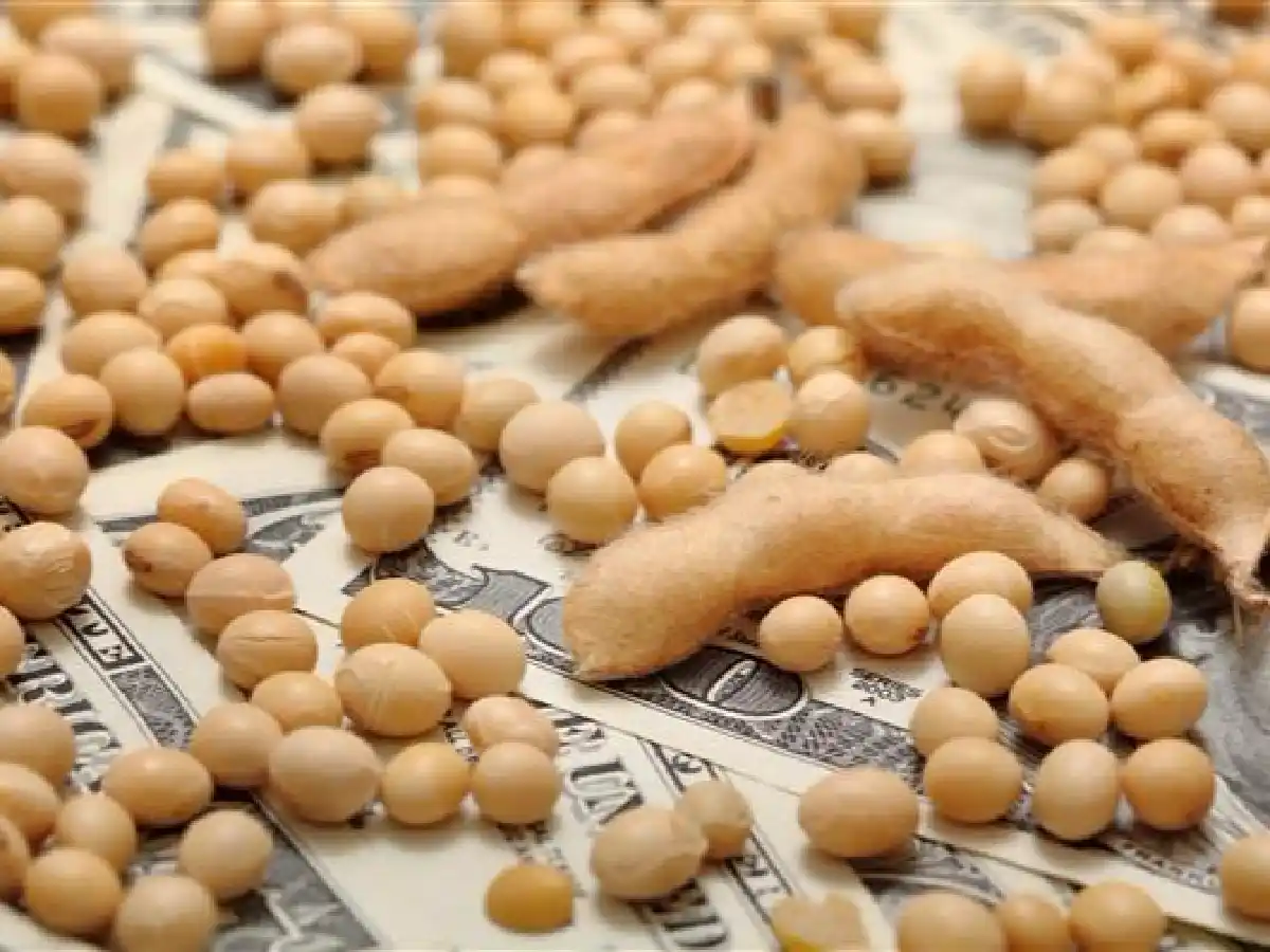 Renta agrícola: la carga tributaria será entre 55 y 57% en el ciclo 2018-2019    