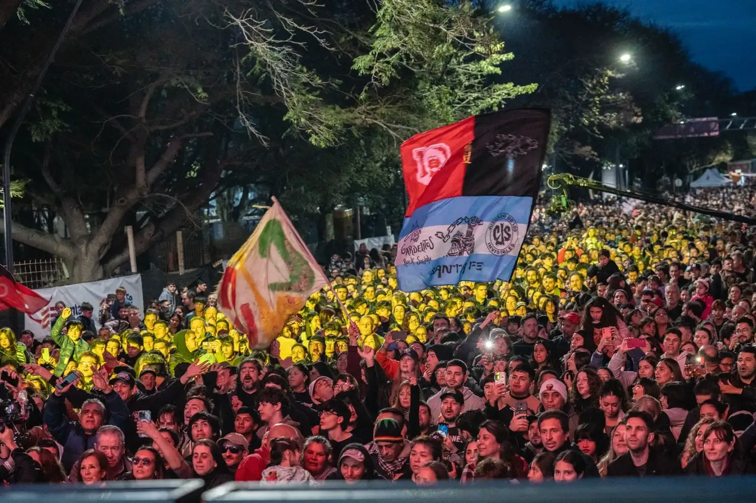 Juegos Suramericanos: unas 40.000 personas acompañaron la llegada de la Antorcha a Santa Fe - 3
