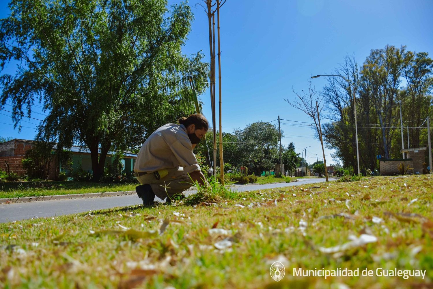 Espacios públicos: Realizan tareas de mantenimiento