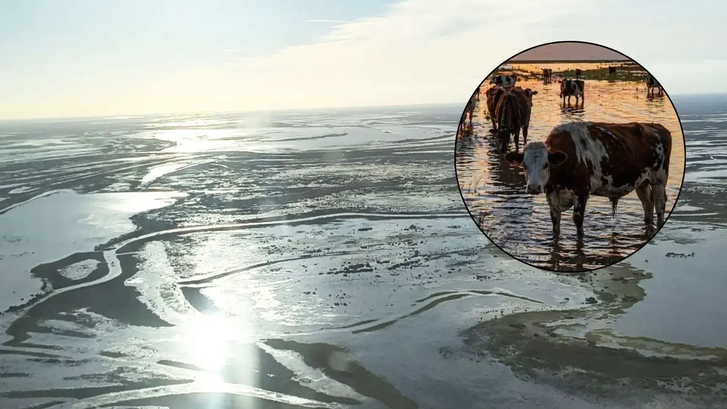 Las perspectivas sobre el efecto de El Niño sobre los niveles del río Paraná será el tema que abordarán especialistas el próximo 25 de septiembre.
