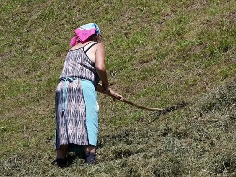 La nodriza