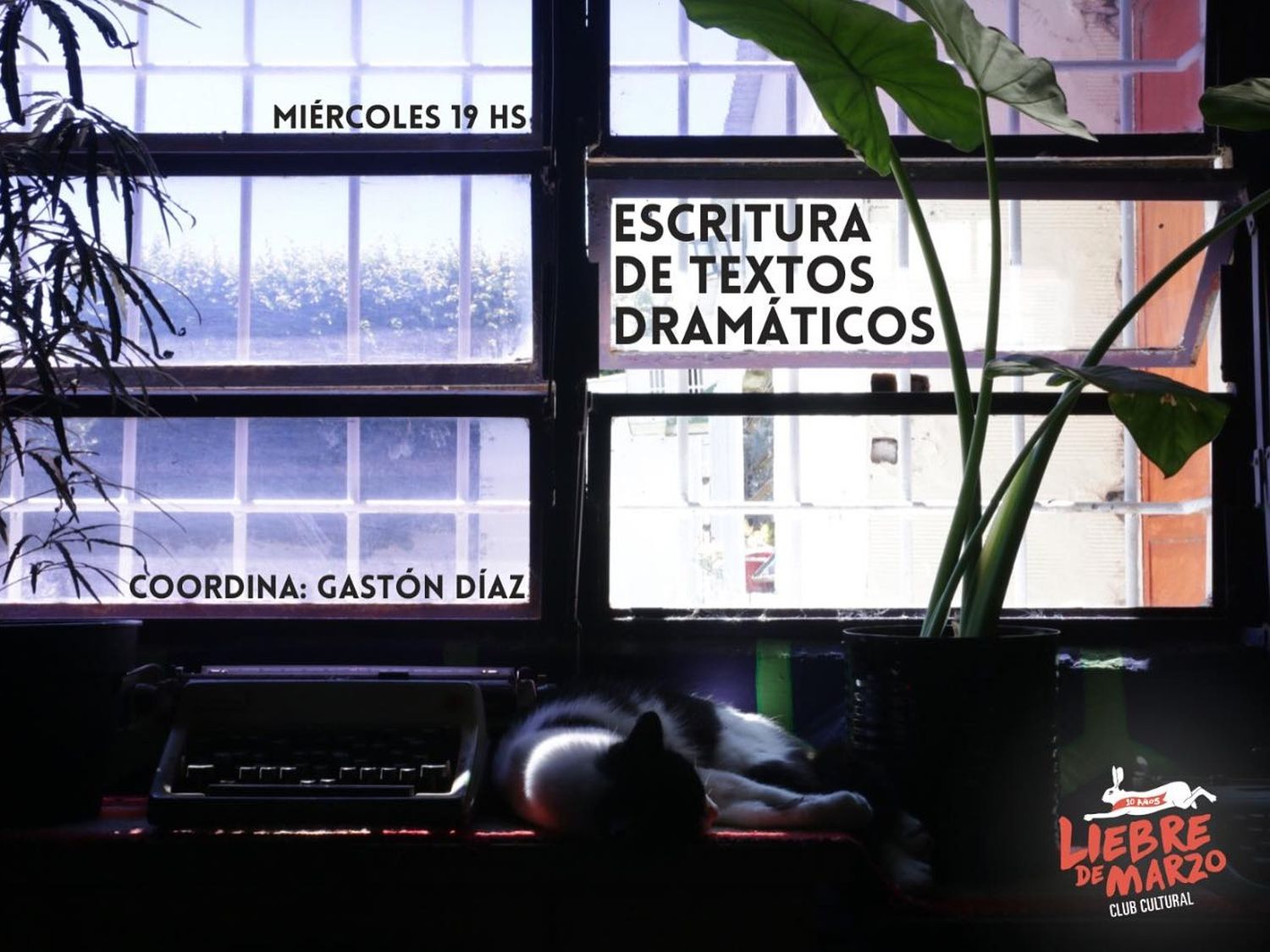 Se ofrecen diversos tipos de talleres.