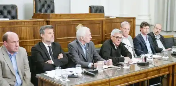 Senadores justicialistas cuestionan el aprovechamiento de la situación personal de un legislador