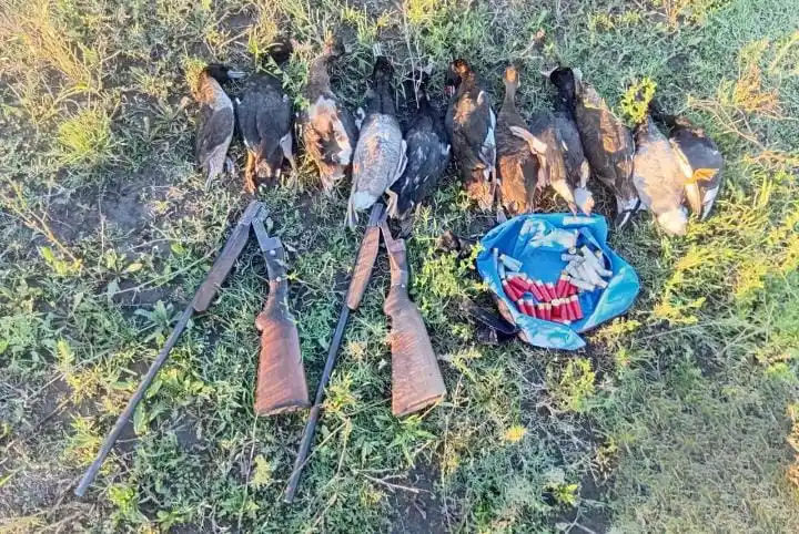 “Los Pumas” secuestraron armas, municiones, pescados y carne de dudosa procedencia en distintos operativos - 6