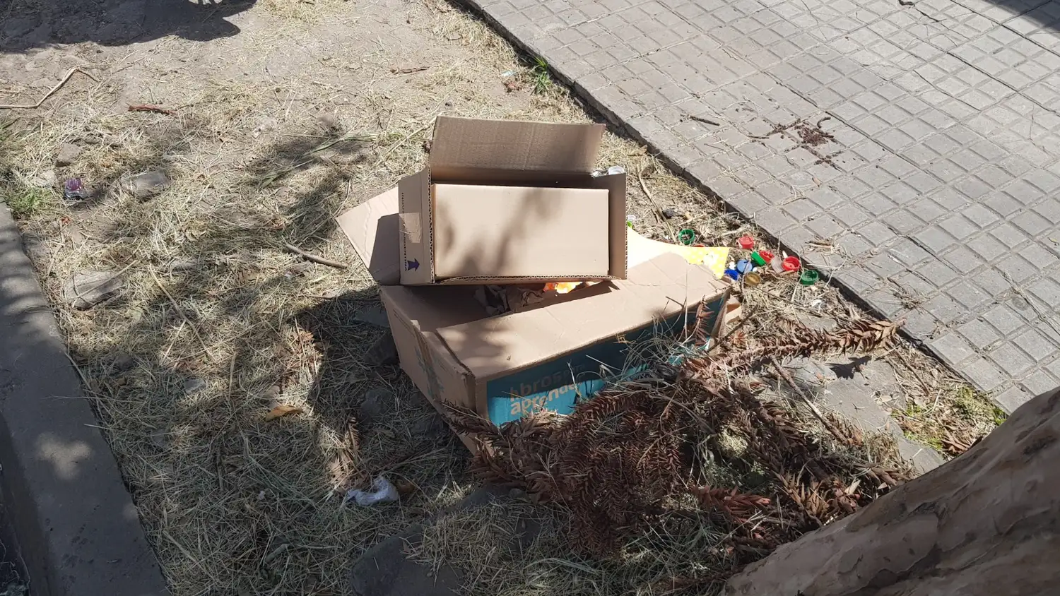 caja