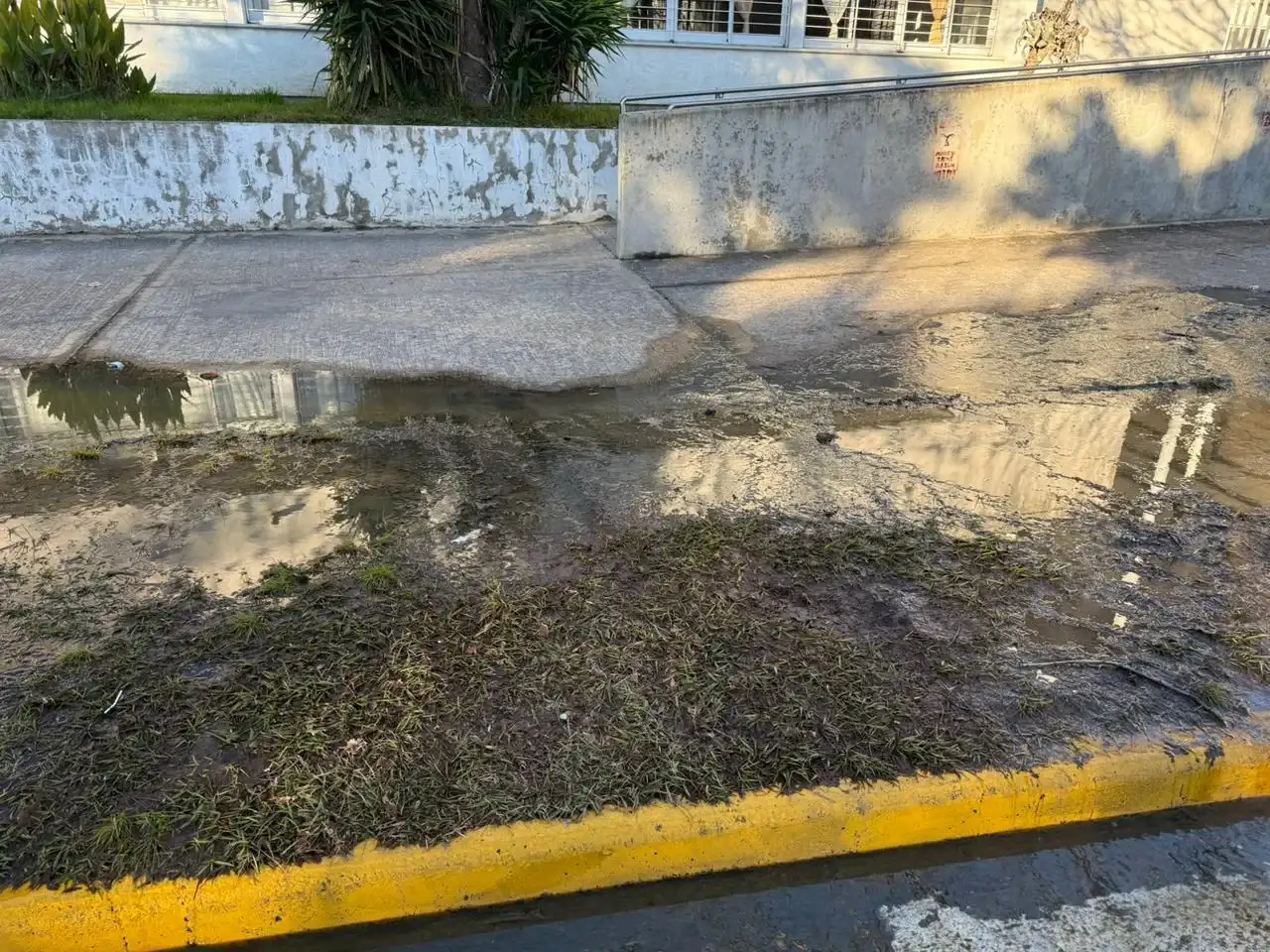 Reclamaron por una pérdida de cloaca frente al ISP2: aseguran que “el olor es irrespirable” - 1