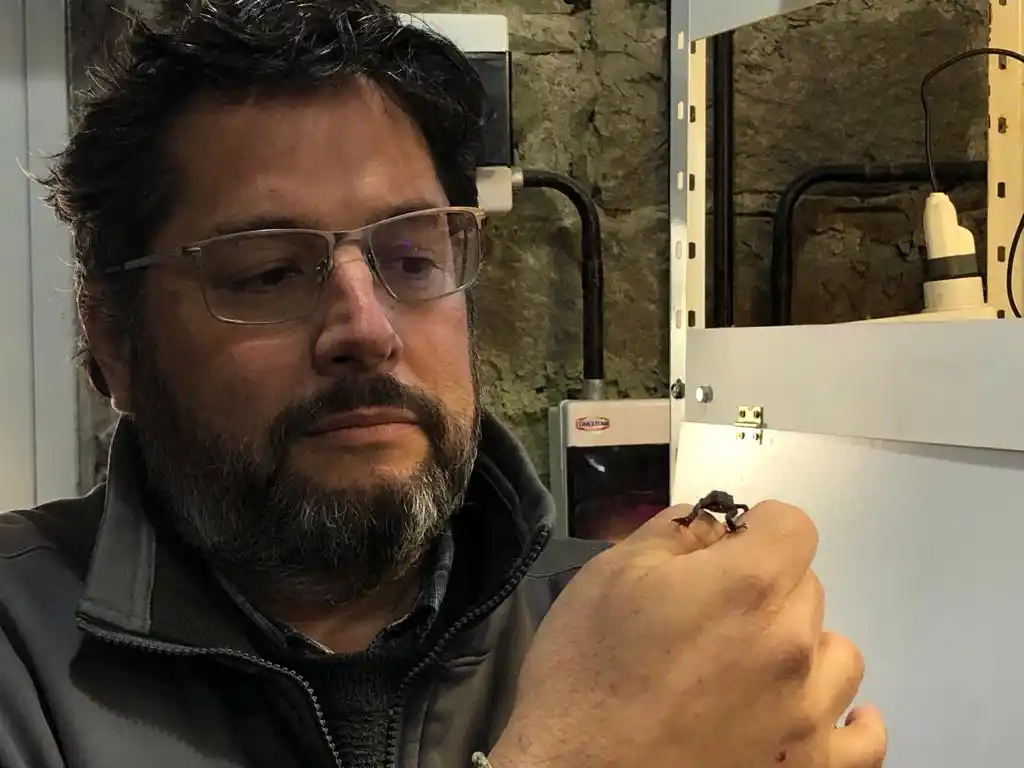 El Dr. Igor Berkunsky, con uno de los sapitos de las sierras que resguardan en ARCA.