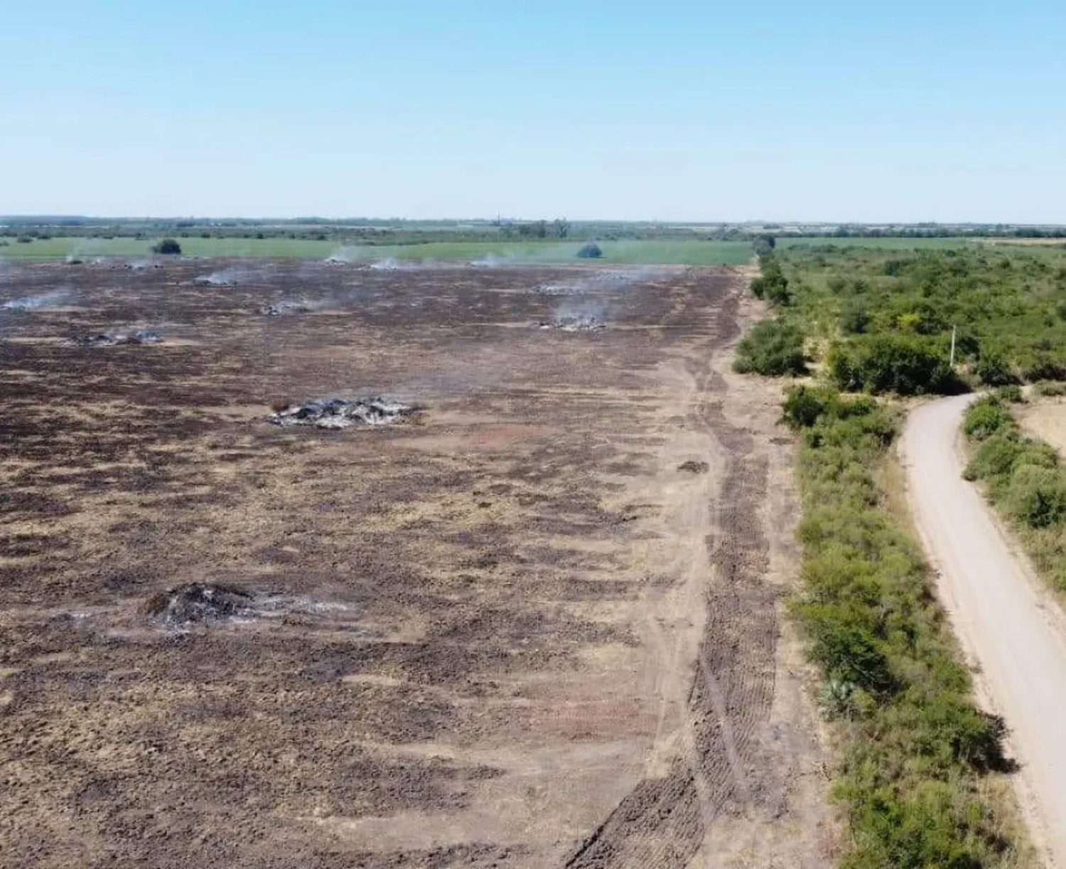 Acciones administrativas por quema en un desmonte de Nogoyá: violación a la Ley de Manejo del Fuego