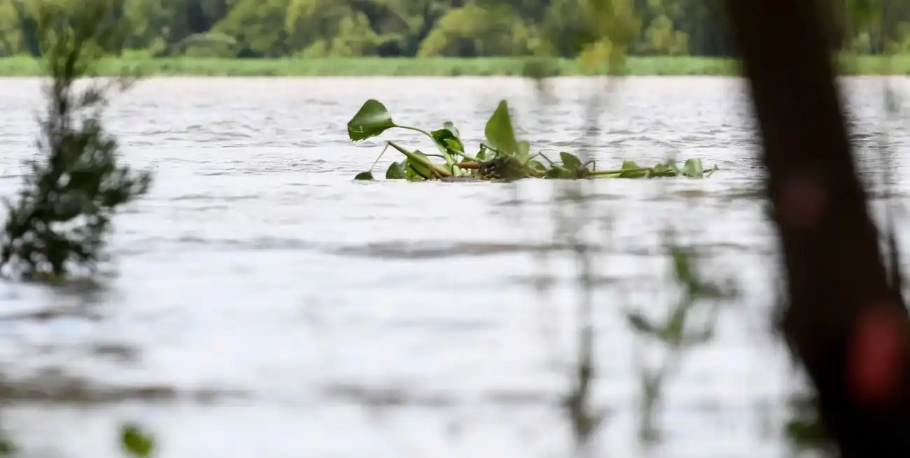 Aseguran que la participación se reclama en un contexto del fenómeno de “La Niña”. Crédito: Mauricio Garín