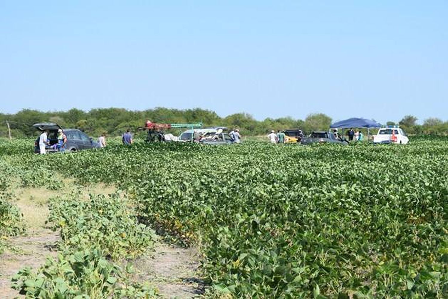Caso Gill: encontraron más huesos en la excavación del pozo de agua