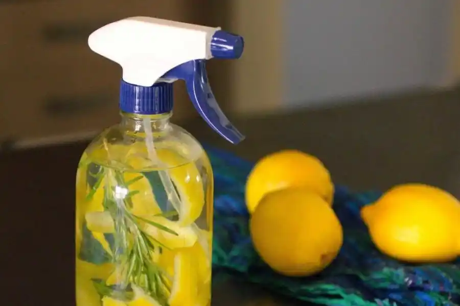 Mostró el tip definitivo para hacer un aromatizante barato para la casa y se volvió viral