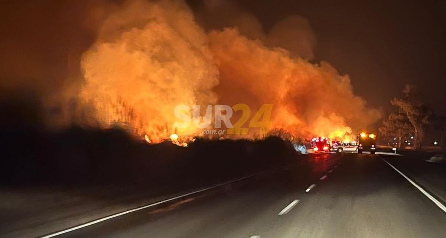 (Video) Voraz incendio en un campo de Bombal