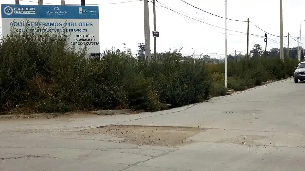 Abandono