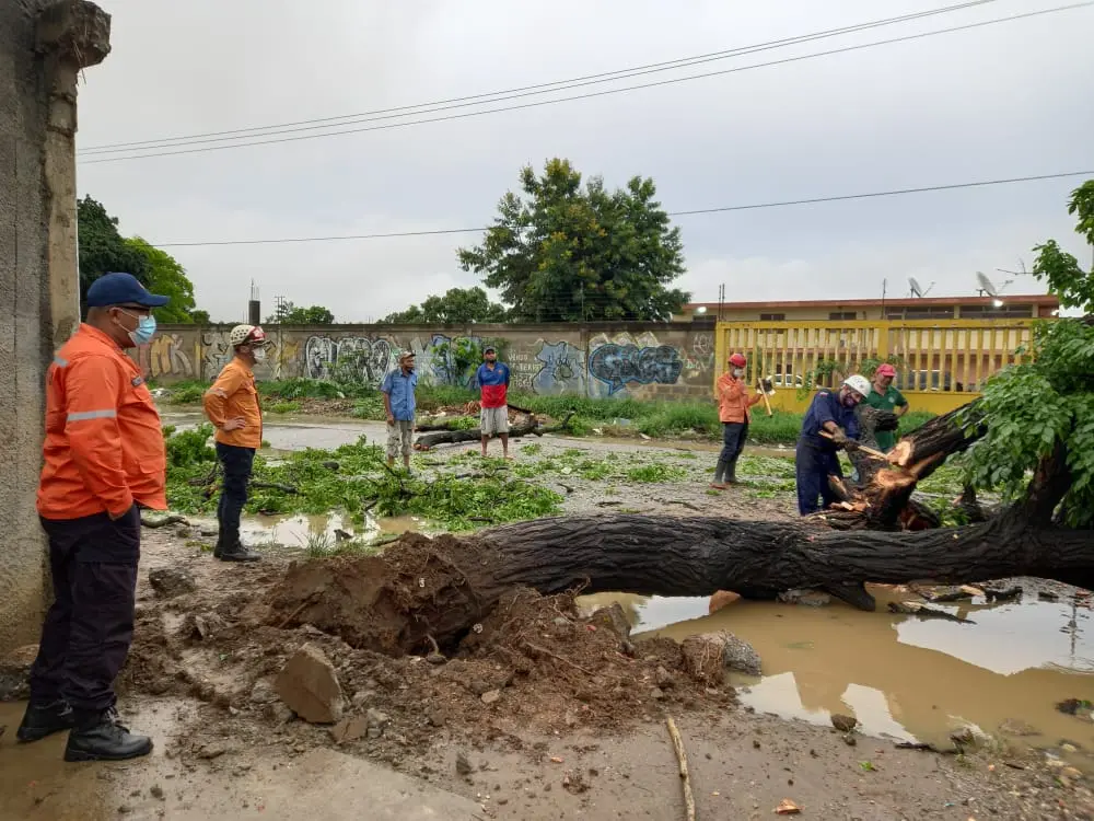 ALERTA EN LARA: varios municipios afectados tras fuertes lluvias