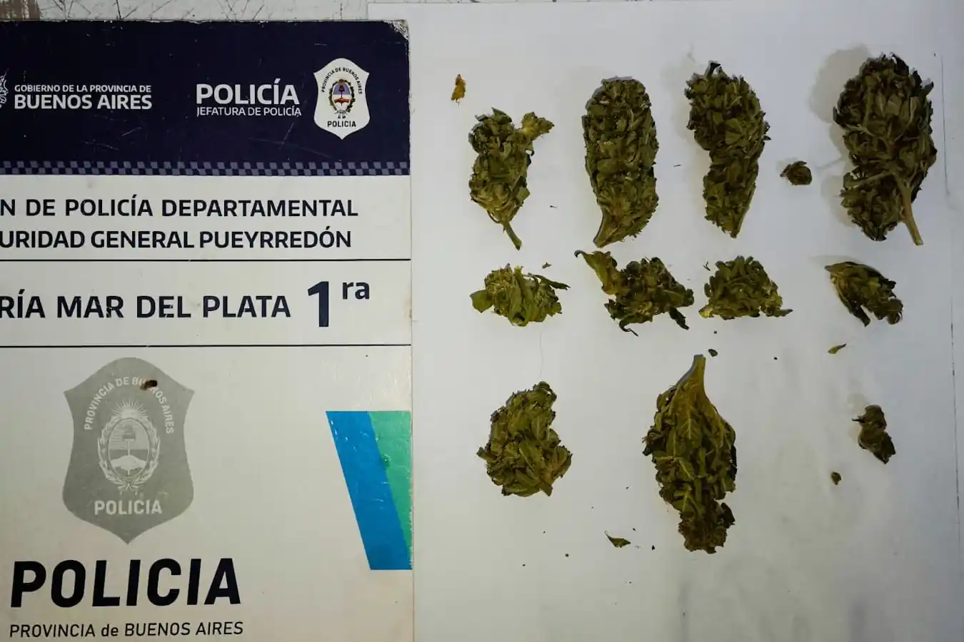 Buscaban elementos robados en una obra y encontraron además drogas.