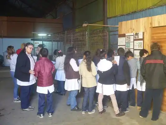 Más de 5 mil estudiantes participaron de los talleres de separación de residuos
