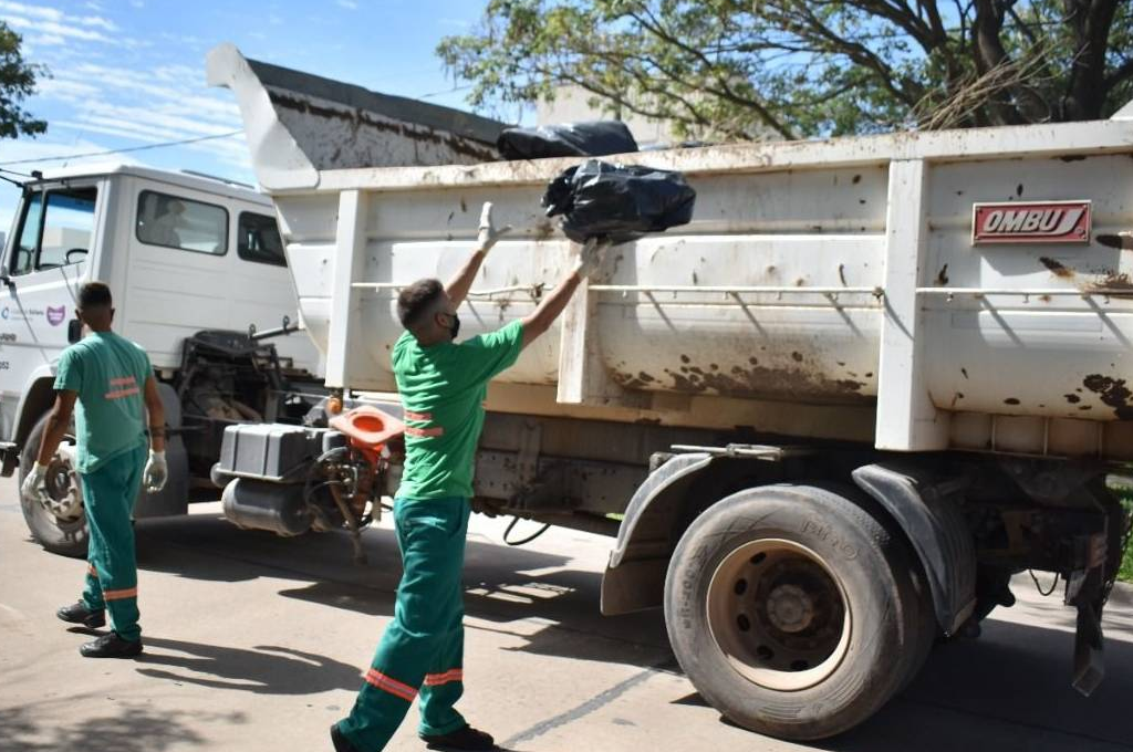 Recolección de residuos de patio