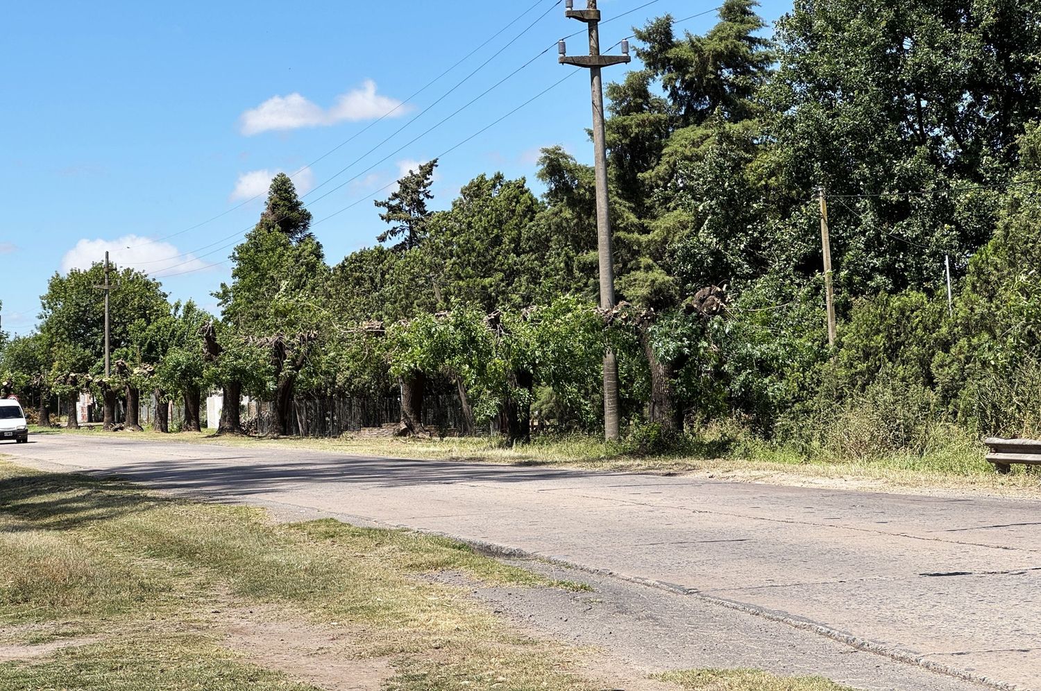 Ruta 191: el Concejo pide a Vialidad que demarque, mientras debate retirar los árboles de la banquina