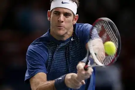 Del Potro superó una dura prueba y jugará con Federer