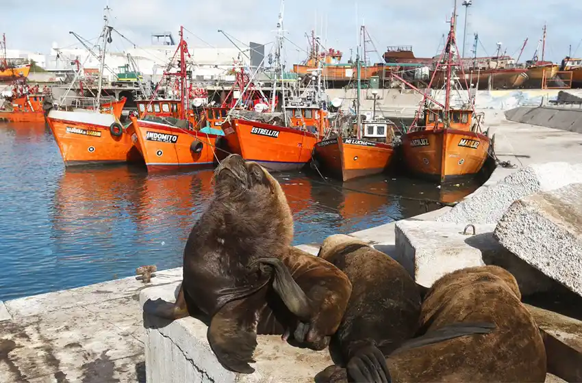 ¿Está pasando la gripe aviar a otros mamíferos?