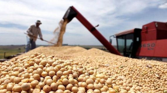 El 41% de la cosecha de soja se usará para pagar alquileres de campos