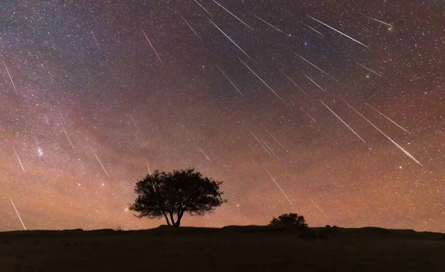 Para ver la lluvia de estrellas los expertos sugieren alejarse de las zonas con contaminación lumínica.