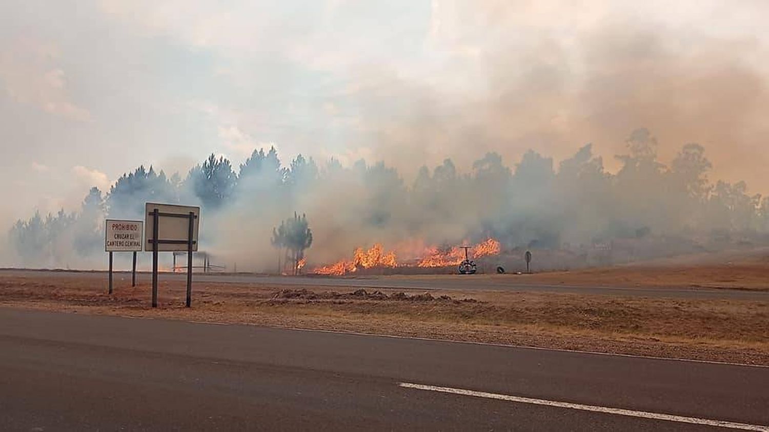 Incendio sin control en autovía Artigas y Ruta Nacional 015