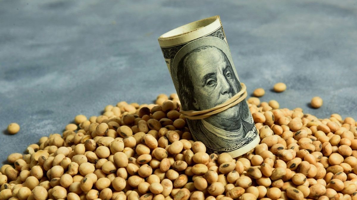 Duró poco: Vuelven las retenciones a la soja y demás productos del campo