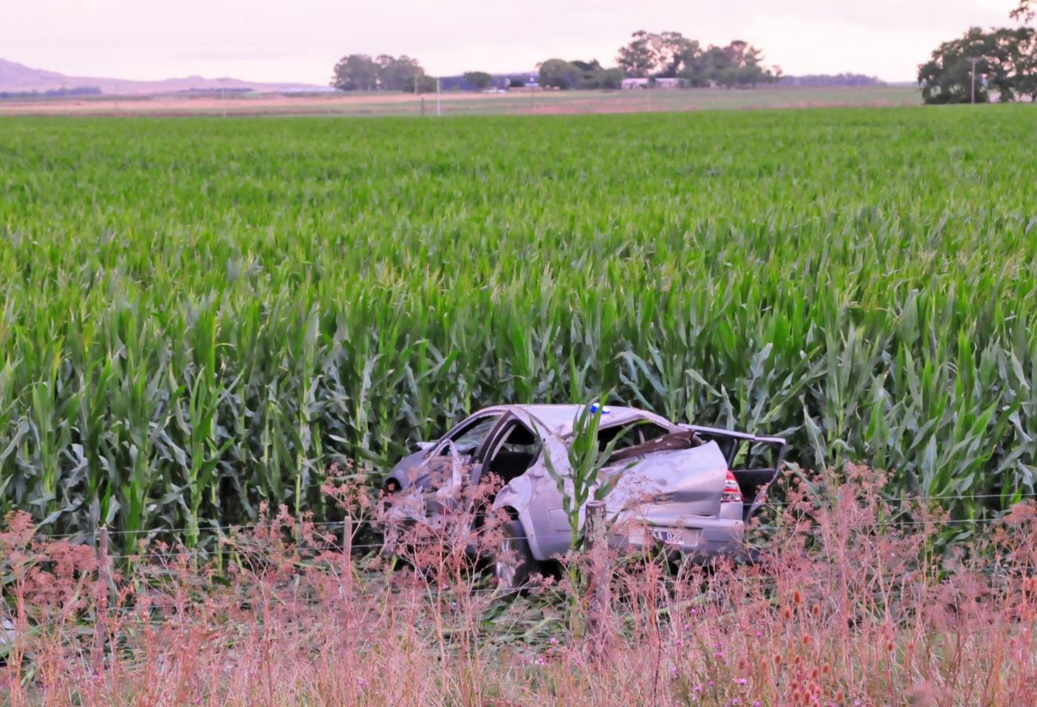 Un niño de 12 años murió en un accidente en la Ruta 74 y hay cuatro personas heridas